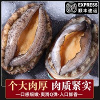 零售批發去內臟鮑魚鮮凍鮑魚鮮活海鮮海產大鮑魚新鮮冷凍海捕野生