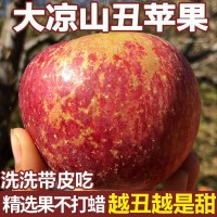 一件代發(fā) 四川大涼山丑蘋果冰糖心野生水果新鮮應(yīng)季超脆甜紅富士