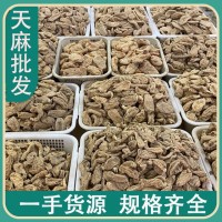 批發陜西天麻 500克 云南昭通小草壩天麻紅苗鸚鵡嘴天麻 一件代發