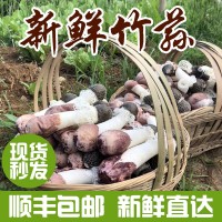 云南特產(chǎn)新鮮竹蓀散裝包郵清香爽口食用菌產(chǎn)地供應(yīng)新鮮帶裙竹蓀  2件起批