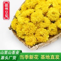 當(dāng)季新花廠家直銷徽州皇菊批發(fā)散裝菊花茶婺源皇菊球菊休寧黃菊花