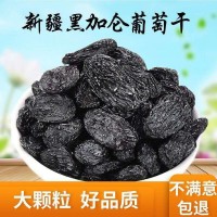 黑加侖500克 水洗無柄新疆特產黑提子干葡萄干散裝食品批發(fā)