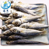 東山島海產(chǎn)魚(yú)干 淡于吧浪魚(yú)干 適合休閑食品KTV零食烹飪廠(chǎng)家批發(fā)