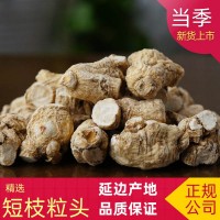 國產軟支西洋參粒頭 花旗參 3克粒頭 5克粒頭 7克粒頭 批發(fā)