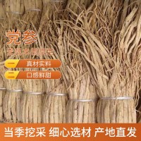 黨參 甘肅中藥材農產品黨參條煲湯料新貨散裝產地貨源多規(guī)格