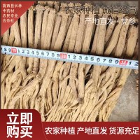 甘肅中藥材甜黨參多規格全干中條散裝燉湯料煲湯泡茶氣血