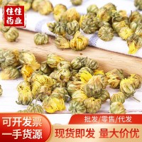 桐鄉胎菊王 黃金菊干花 無硫蘇杭州白菊花草茶野菊花散裝現貨批發