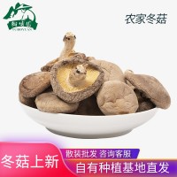 慶元香菇干貨 冬菇厚菇 250g廠家供應(yīng)各類大小品質(zhì)餐飲加工批發(fā)