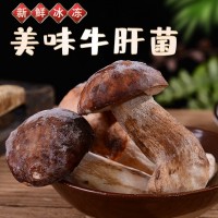 云南特產速凍鮮美牛肝菌可清炒涮火鍋煲湯美味食材現(xiàn)貨批發(fā)