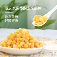 【榨汁甜玉米粒】 現(xiàn)榨玉米汁 香濃玉米汁