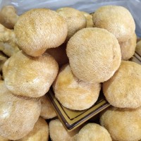 各種規(guī)格猴頭菇散裝 猴頭蘑福建古田特產(chǎn)食用菌干貨 500g產(chǎn)地批發(fā)