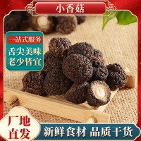 小香菇金錢菇珍珠菇福建特產(chǎn)食用菌農(nóng)產(chǎn)品干貨直銷 1.5/2cm