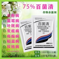 75%百菌清多菌靈 月季黑斑病白粉病霜霉病葉斑病殺菌劑花卉藥通用