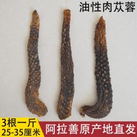 短粗型肉蓯蓉 產地內蒙古阿拉善油蓯蓉 軟大蕓粗大貨 (3根一斤）