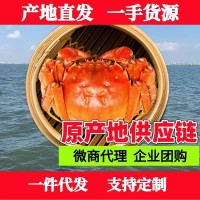 大閘蟹蘇州陽澄湖鎮(zhèn)中秋禮品企業(yè)團購批發(fā)代理螃蟹禮盒提貨卡禮券