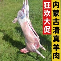 偉和祥內(nèi)蒙古清真羔羊肉帶皮羊排羊后腿新鮮冷凍生羊前腿羊肉塊