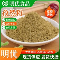 孜然粉 火鍋底料辣椒醬大魷魚雞排裹粉 燒烤粉調味料香辛孜然粉