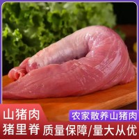 廠家直供阿文特種山豬肉豬里脊現(xiàn)殺冷鏈運輸肉質鮮嫩山豬肉豬里脊