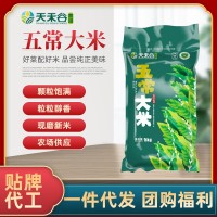 熱銷五常大米10斤裝長(zhǎng)粒米有機(jī)種植自產(chǎn)稻花香2號(hào)東北大米5kg批發(fā)